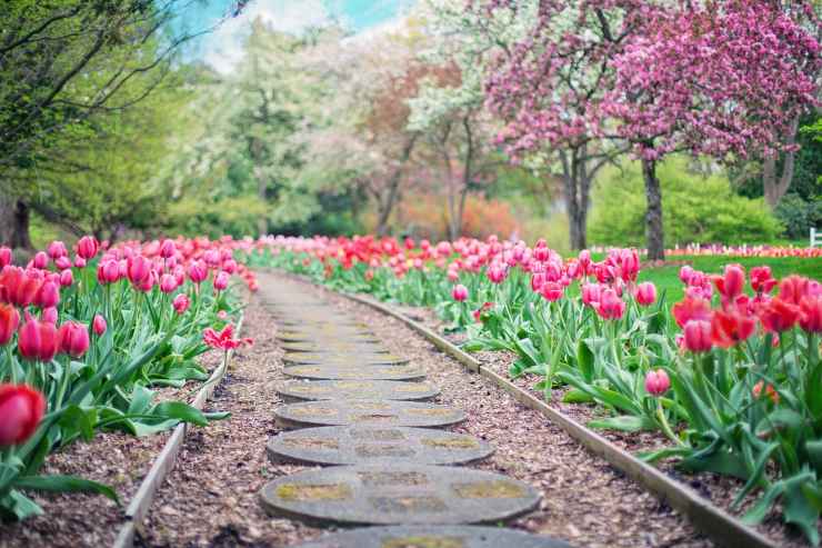 Come si ottiene il bonus per il giardino?