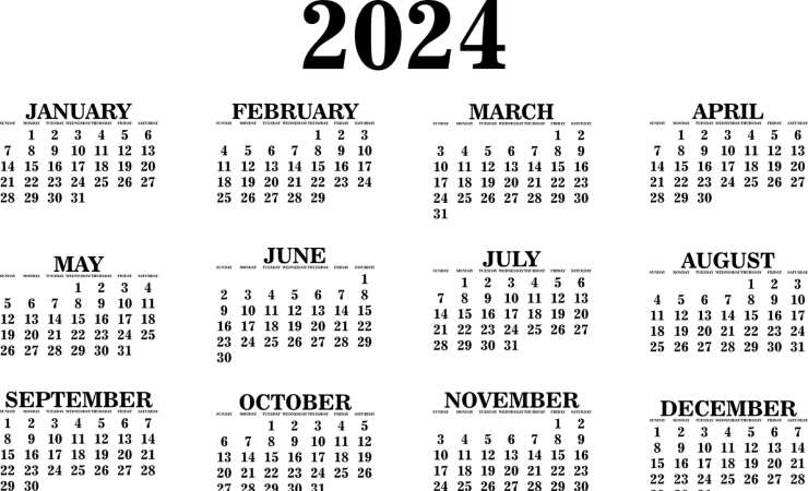 Pagamento Iva per partite Iva: la scadenza per marzo 2024